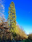 20250319_165114-EFFECTS