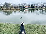 IMG_1516