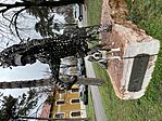 IMG_1529
