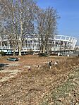 IMG_7011