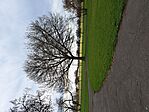 GC60pl_20250328_105919