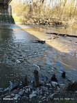 IMG_20250319_075159