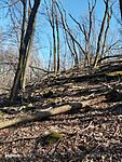 IMG_20250319_124128