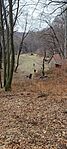 IMG_20250208_125651