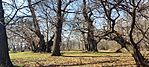 IMG_20250308_110503