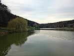 IMG_20250313_173152