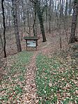 IMG_20250313_172311