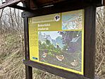 IMG_5571