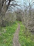 IMG_5572