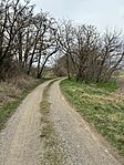 IMG_5576