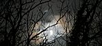 IMG_20250307_234122