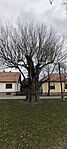 IMG_20250322_111443
