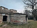 20250310_061143