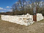 IMG_20250302_133039
