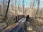 IMG_20250302_122552.jpg