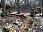 IMG_20250302_122909.jpg