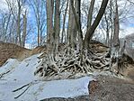 IMG_20250302_131007.jpg
