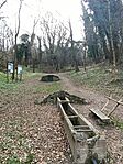 IMG_20250310_101443.jpg