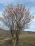 IMG_20250310_091041.jpg