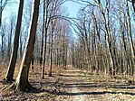 IMG_20250318_145155.jpg