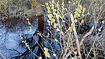 RM_20250323_153752