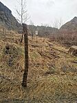 IMG_20250315_115956