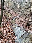 IMG_20250315_125630