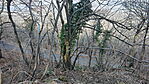 IMG20250308132427_resize