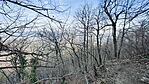 IMG20250308132425_resize