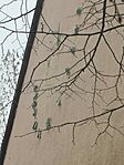 IMG_20250326_060817