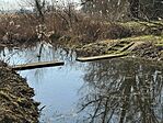 IMG_4485