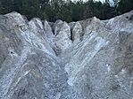 IMG_4518