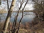 Öttevényi kavicsbányák-3