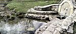 IMG20250313121213