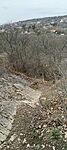 IMG20250311113606