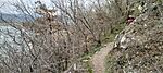 IMG20250310131439
