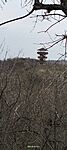 IMG20250310121102