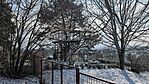 PXL_20250215_121441827