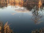 IMG_20250111_154013