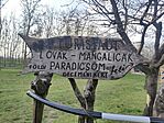 IMG_20250325_140447