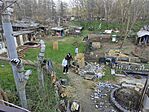 IMG_20250325_140559