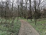 IMG_20250309_114633