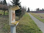 IMG_20250309_123125