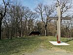 IMG_20250309_132521