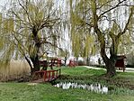 IMG_20250330_145513