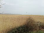 IMG_20250330_145904