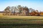 DSC_0565
