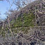 IMG_20250308_152440
