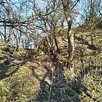 IMG_20250308_160153