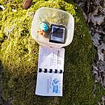 IMG_20250308_155544